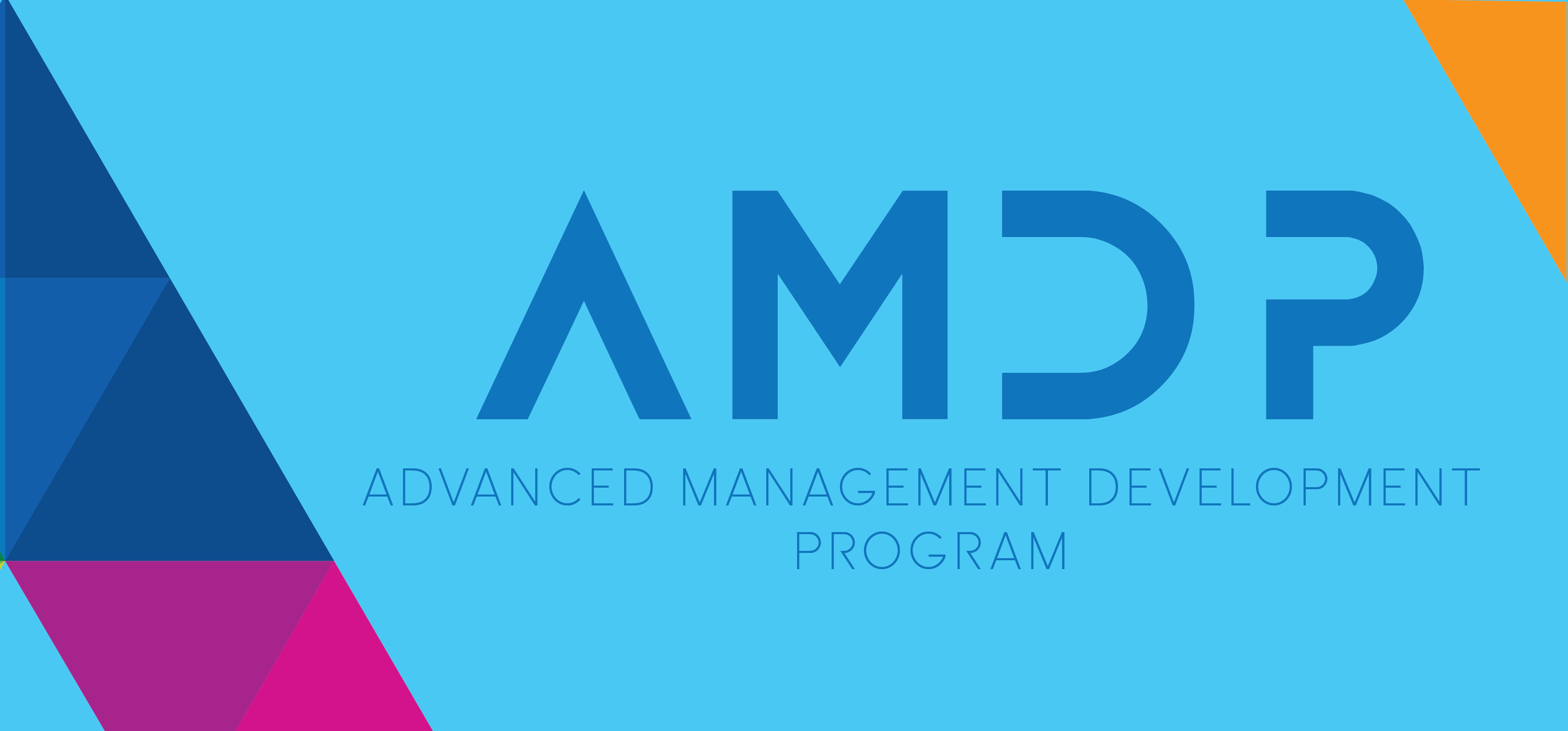 AMDP 7